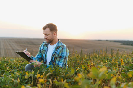 Farmer taking notes on a clipboard while inspecting his soy crop at sunset, demonstrating dedication to sustainable agriculture and healthy harvestの写真素材