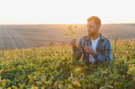 Farmer inspecting the growth of soy plants in a field, ensuring a healthy and productive harvest