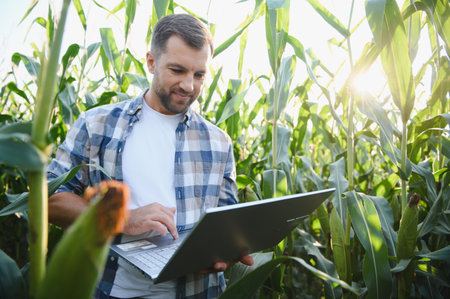 Farmer analyzing his corn crops using a laptop, implementing modern precision agriculture techniques...