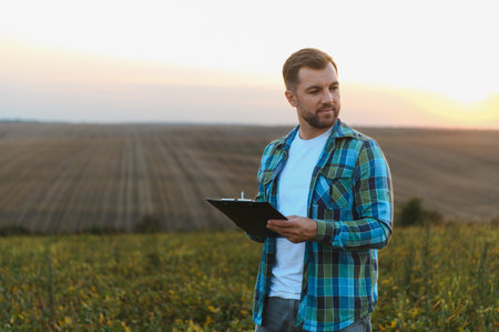 Farmer inspecting crops in soy field at sunset, holding clipboard and evaluating growth and harvest potentialの写真素材