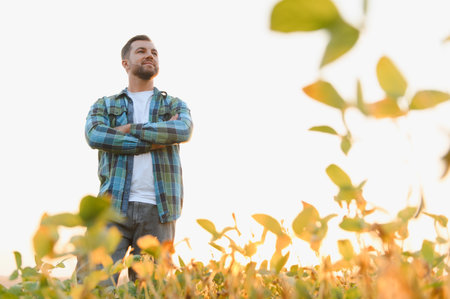 Confident farmer stands proudly amidst his soy crops, arms crossed, observing the golden sunset over...