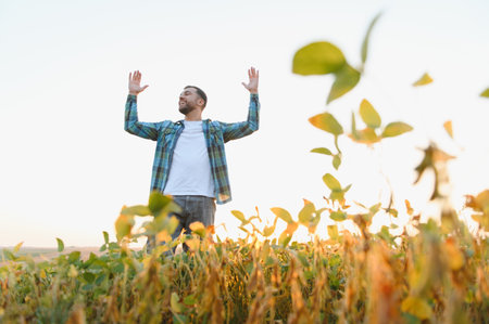 Happy farmer standing in soybean field, raising hands and enjoying sunset after successful harvest