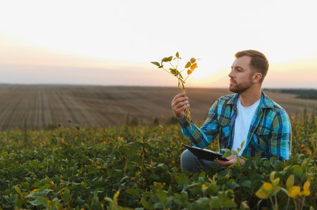 Farmer analyzing a soy plant and holding a tablet, performing quality control of his soy crop at...
