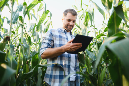 Farmer using tablet in corn field, controlling growth and development of plants, modern agriculture...