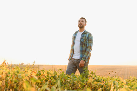 Farmer walking through a lush soy field at sunset, inspecting crops under the warm glow of evening light, embracing the beauty of natureの写真素材