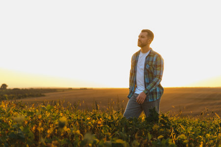 Farmer walking through a lush soy plantation, inspecting crops under the warm glow of a sunset, enjoying the peaceful rural landscapeの写真素材