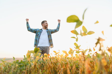 Happy farmer raising arms in celebration amidst ripe soybean plants, expressing joy and satisfaction after a bountiful harvestの写真素材