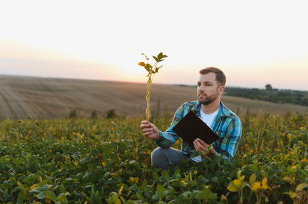 Farmer analyzing a soy plant and holding a clipboard, surrounded by a lush field during a vibrant sunsetの写真素材