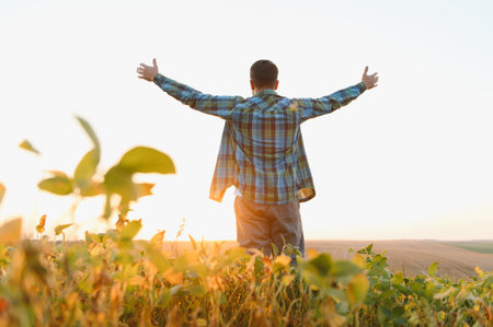 Farmer with arms raised, embracing the beauty of a sunset over a soy field, celebrating the joy of a successful harvest in nature's tranquilityの写真素材
