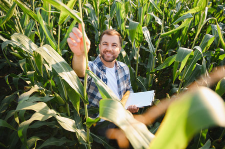 Smiling farmer inspecting his corn crops, holding a clipboard and pointing at a plant, surrounded by...