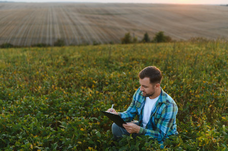 Agronomist writing detailed notes on a clipboard while inspecting soybean crops in a vibrant field during a picturesque sunsetの写真素材