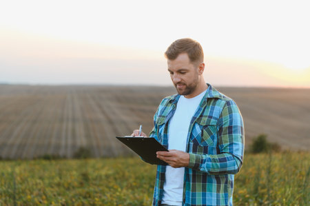 Agronomist taking notes in a soybean field at sunset, demonstrating sustainable agriculture practicesの写真素材
