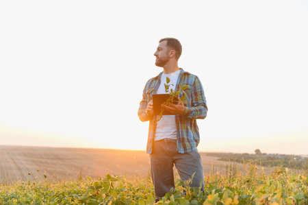 Farmer holding soy seedling and digital tablet, inspecting crops in cultivated field at sunset,...