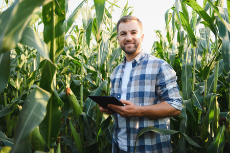 Happy agronomist is smiling and holding tablet in cornfield, using modern technologies in...