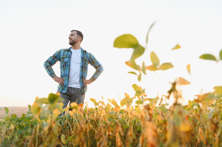Farmer standing proudly in a lush soy field, admiring thriving crops under the warm glow of the sunset, reflecting on hard work and successの写真素材