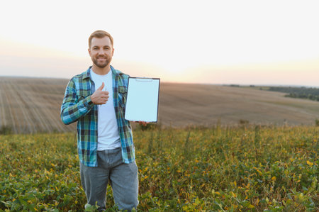 Farmer holding a clipboard with blank paper and giving a thumbs up, celebrating success in a soybean field during a vibrant sunsetの写真素材