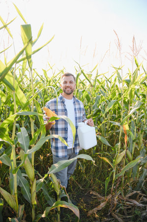 Farmer inspecting his corn crops, holding a corn cob and a pesticide bottle, ensuring a healthy and...