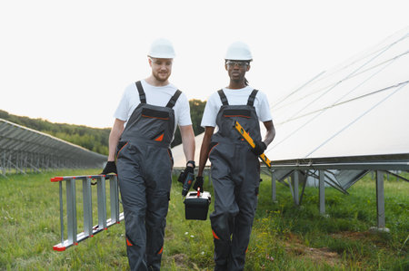 Two diverse technicians walking towards solar panels carrying a ladder and toolbox, ready for installation or maintenance workの写真素材