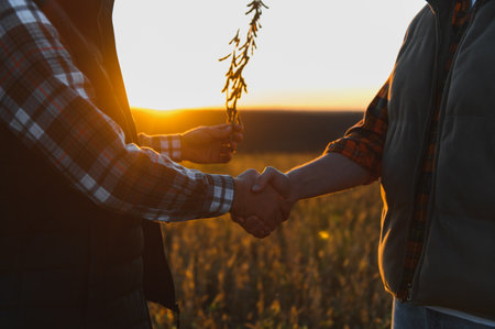 Two farmers shaking hands, closing a deal in a soybean field during golden hour, showing partnership and growth in agricultureの写真素材