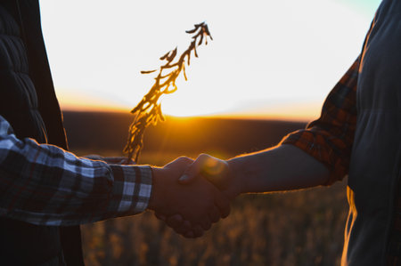 Farmers shaking hands in a field, symbolizing agreement, partnership, and trust in agriculture with a golden sunsetの写真素材