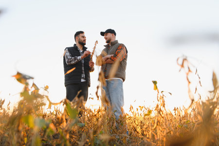 Two farmers inspecting soybean plants, discussing crop quality and harvest potential at sunset. Agriculture business conceptの写真素材
