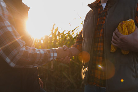 Two farmers shake hands in a sunlit cornfield at golden hour, sealing a partnership amid rows of ripening crops and rural landの写真素材