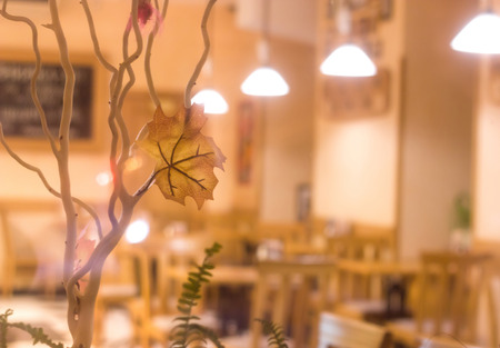 Light bulb in the interior at nightの写真素材