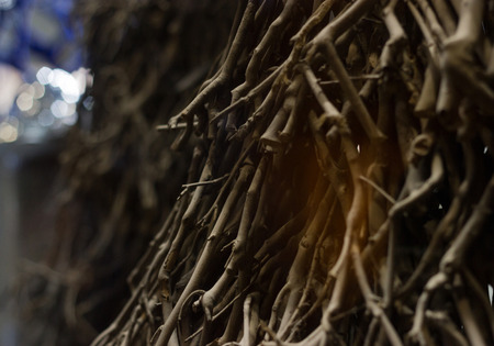 texture, dry, branches, focus, background, bokeh, dark, blurry, lines, lightの写真素材