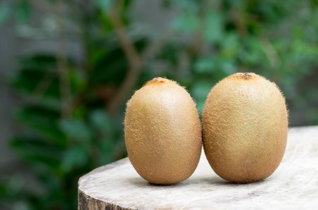 kiwi fruit on wooden table on green backgroundの写真素材