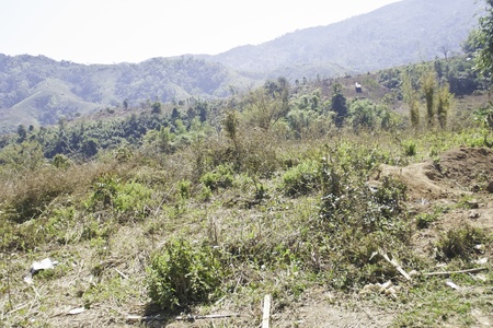 hill in chinaの写真素材