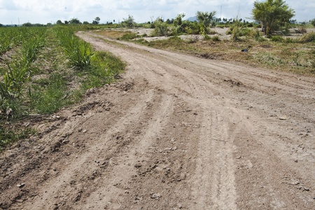 Dirt Roadの写真素材