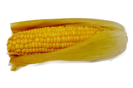 yellow corn