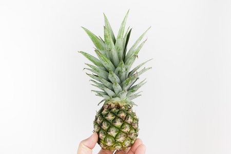 pineapple on the human hand with white background isolationの写真素材