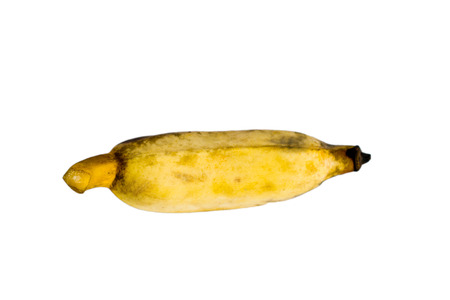 banana is fo od for allの写真素材