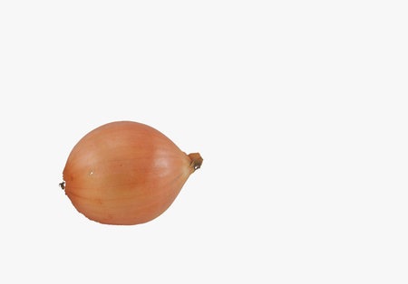 onion in isolated backgroundの写真素材