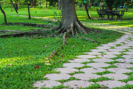 walking lane in the parkの写真素材