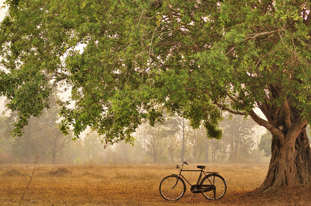 bicycleの写真素材