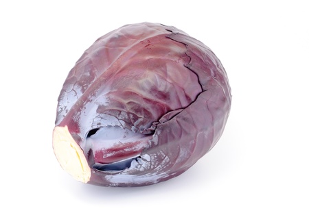 red cabbage closeup isolated on white の写真素材