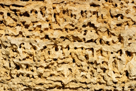 Beautiful  yellow sandstone surface の写真素材