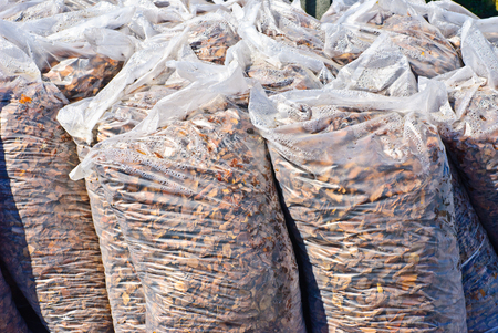 Bags with mulches used for garden decoratingの写真素材