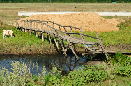 old ruined bridge on a background of green grass and cowsの写真素材