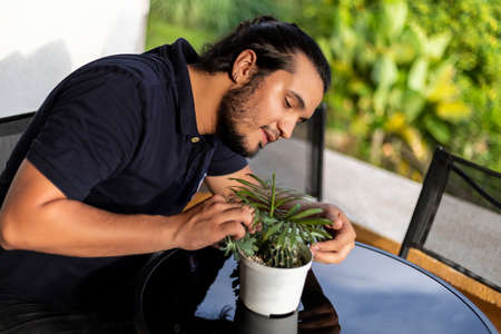 Young latino man plant succulents in a white pot. Gardening conceptの写真素材