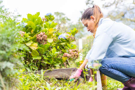 Woman digging with her gardening shovel to plant a seedling
