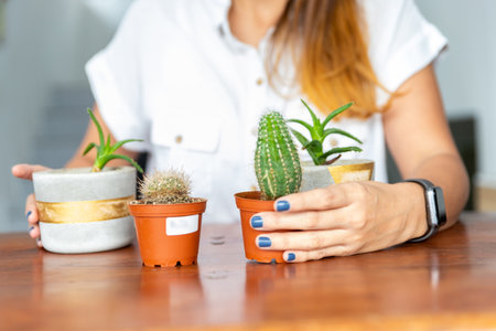 woman with different potted succulents in a table.の写真素材