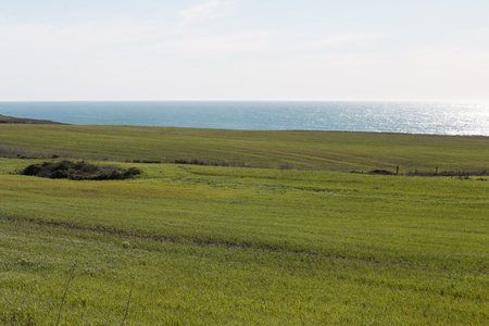 Oceanside grassy rolling fieldの写真素材