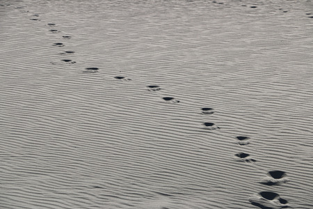 Footprints in windswept sandの写真素材