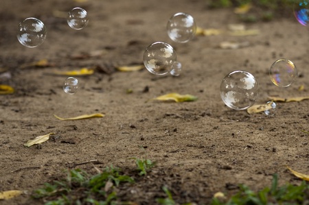 Soap bubbles float above groundの写真素材