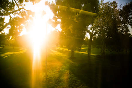 the bright sunの写真素材