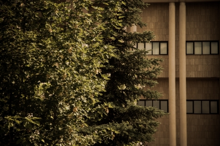 Abstract view of a building with nice, modern,interesting architectureのeditorial素材