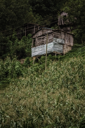 Wooden huts, used to store slashed grasses and harvested cornsの写真素材